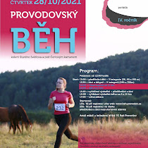 provodovsky-beh_plakat-2021.jpg