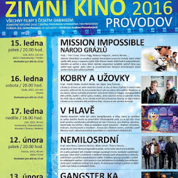 zimni_kino_provodov_2016.jpg